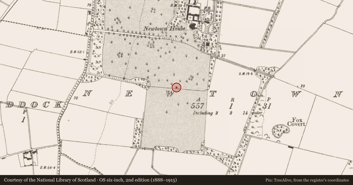 Ordnance Survey six-inch map, 2nd edition (1888–1915) covering the location of Enclosure, Newtown, County Louth, with a pin at the register's coordinates