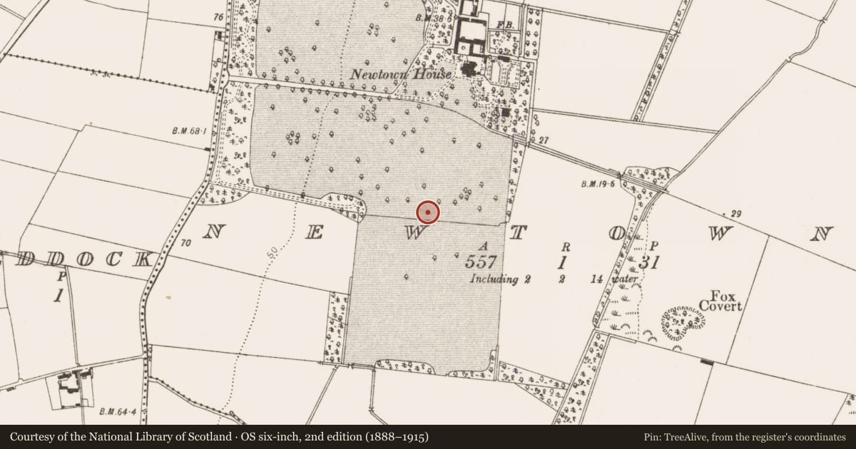 Ordnance Survey six-inch map, 2nd edition (1888–1915) covering the location of Enclosure, Newtown, County Louth, with a pin at the register's coordinates