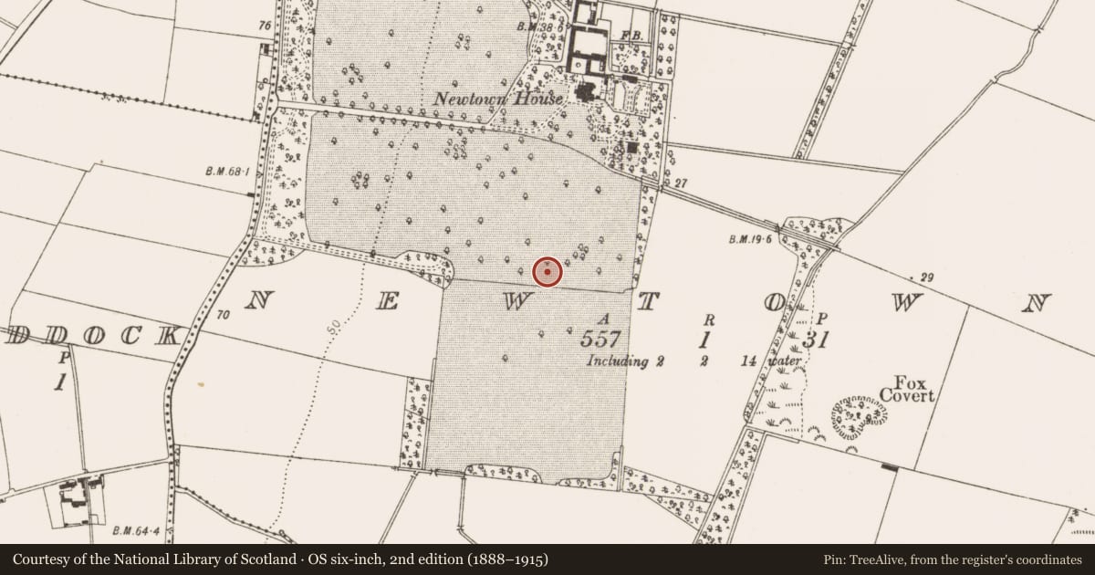 Ordnance Survey six-inch map, 2nd edition (1888–1915) covering the location of Ring-ditch, Newtown, County Louth, with a pin at the register's coordinates