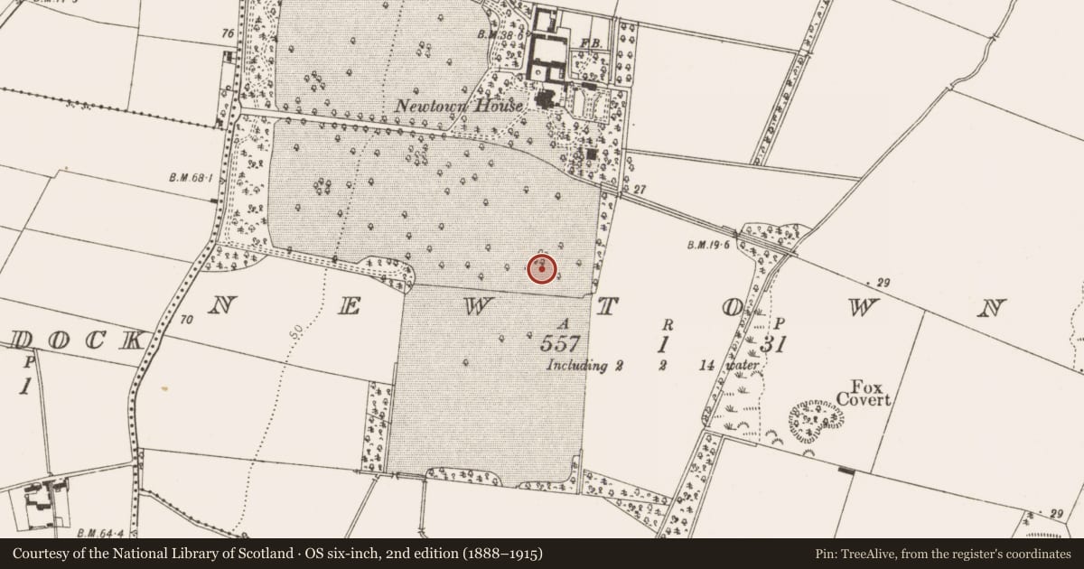 Ordnance Survey six-inch map, 2nd edition (1888–1915) covering the location of Enclosure, Newtown, County Louth, with a pin at the register's coordinates