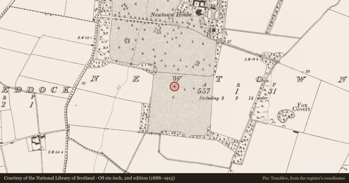 Ordnance Survey six-inch map, 2nd edition (1888–1915) covering the location of Enclosure, Newtown, County Louth, with a pin at the register's coordinates