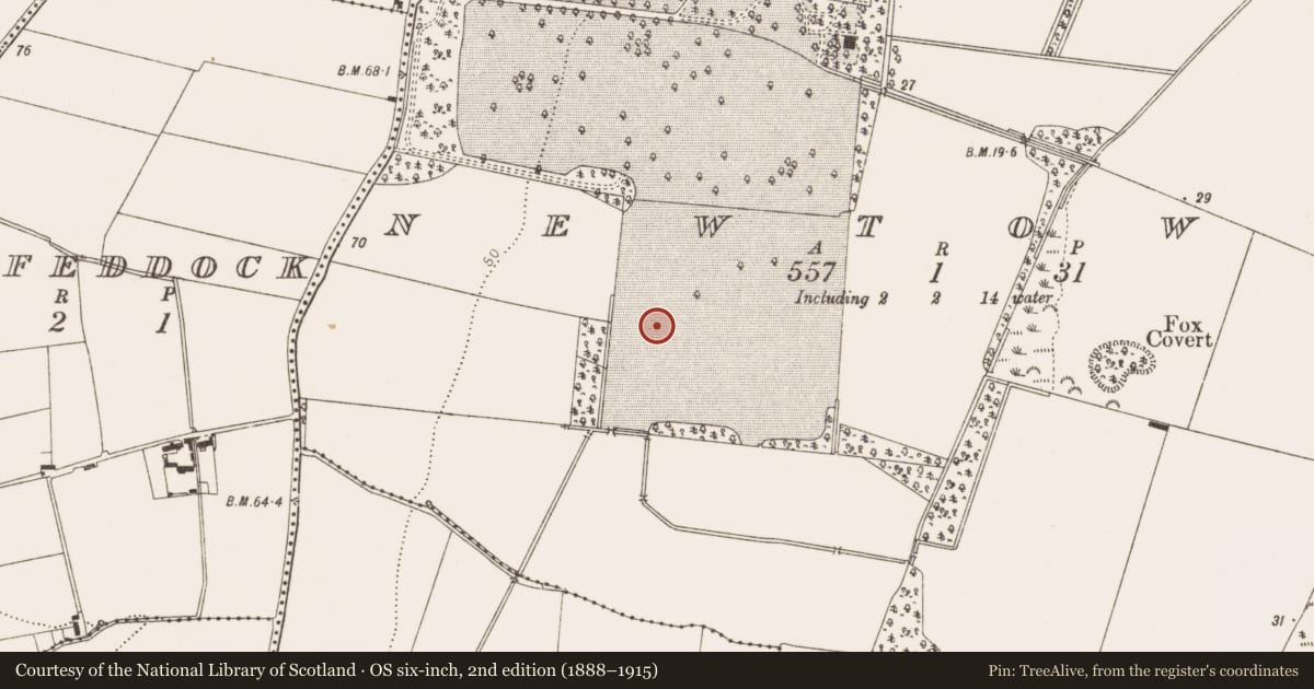 Ordnance Survey six-inch map, 2nd edition (1888–1915) covering the location of Enclosure, Newtown, County Louth, with a pin at the register's coordinates