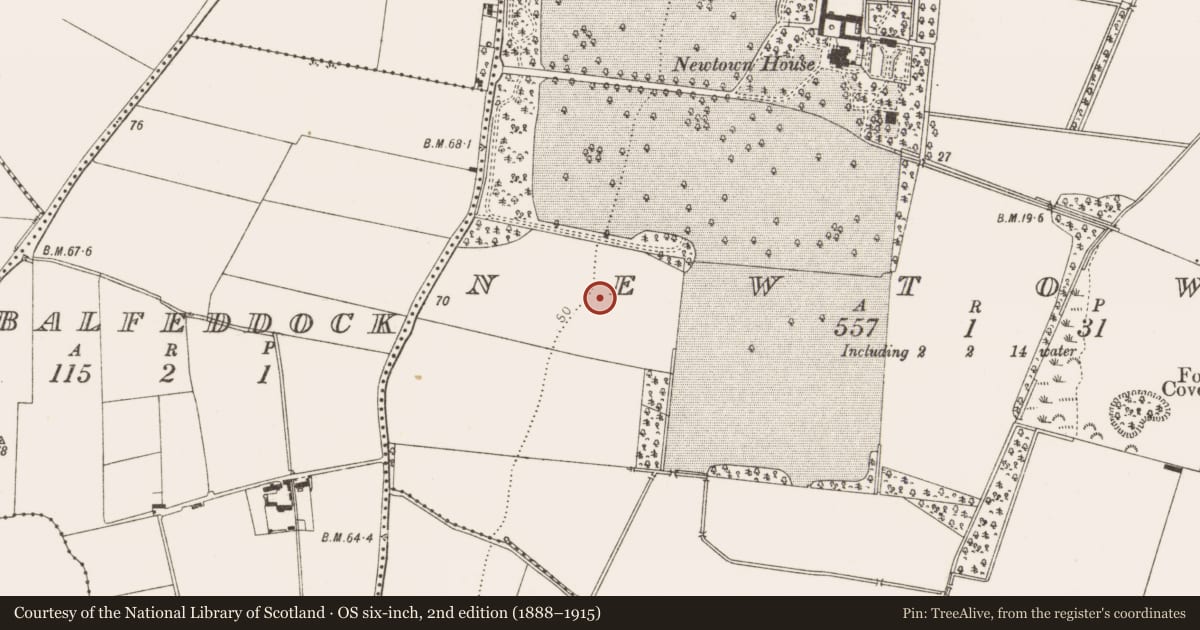 Ordnance Survey six-inch map, 2nd edition (1888–1915) covering the location of Ring-ditch, Newtown, County Louth, with a pin at the register's coordinates