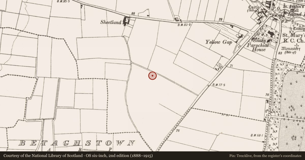 Ordnance Survey six-inch map, 2nd edition (1888–1915) covering the location of Enclosure, Termonfeckin, County Louth, with a pin at the register's coordinates
