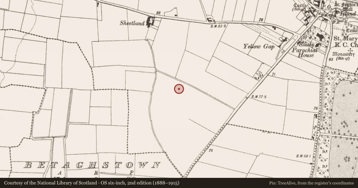 Ordnance Survey six-inch map, 2nd edition (1888–1915) covering the location of Enclosure, Termonfeckin, County Louth, with a pin at the register's coordinates