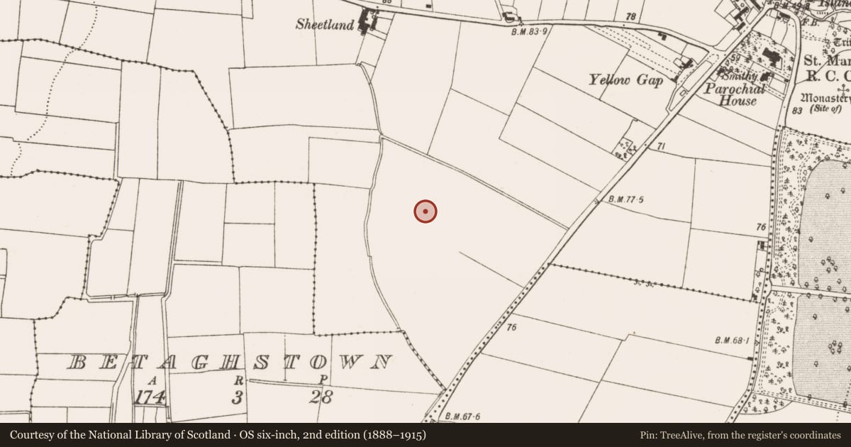 Ordnance Survey six-inch map, 2nd edition (1888–1915) covering the location of Enclosure, Termonfeckin, County Louth, with a pin at the register's coordinates