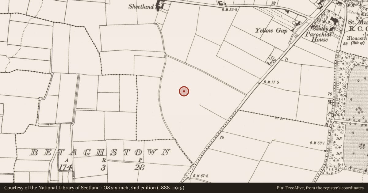 Ordnance Survey six-inch map, 2nd edition (1888–1915) covering the location of Enclosure, Termonfeckin, County Louth, with a pin at the register's coordinates