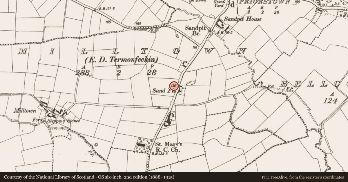 Ordnance Survey six-inch map, 2nd edition (1888–1915) covering the location of Ring-ditch, Milltown (Ferrard By., Termonfeckin Par.), County Louth, with a pin at the register's coordinates