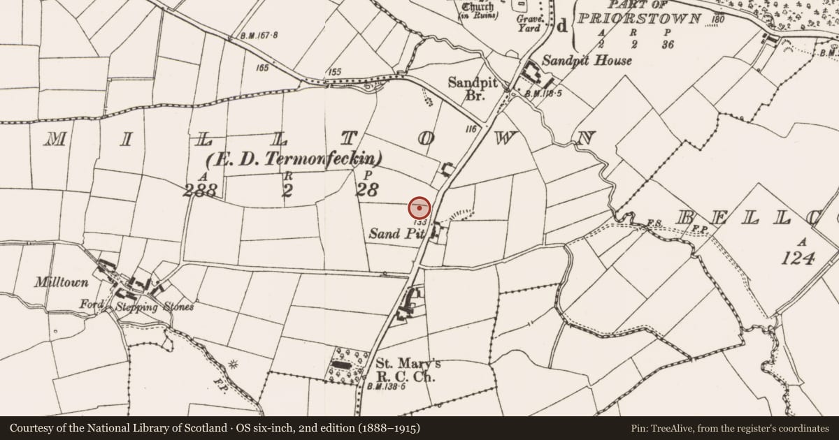 Ordnance Survey six-inch map, 2nd edition (1888–1915) covering the location of Ring-ditch, Milltown (Ferrard By., Termonfeckin Par.), County Louth, with a pin at the register's coordinates