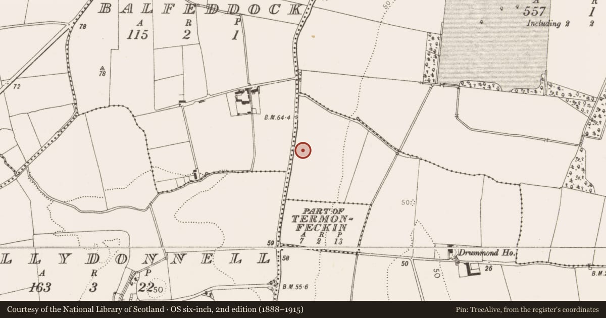 Ordnance Survey six-inch map, 2nd edition (1888–1915) covering the location of Enclosure, Baltray, County Louth, with a pin at the register's coordinates