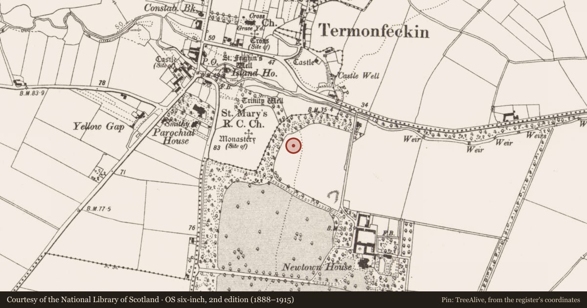 Ordnance Survey six-inch map, 2nd edition (1888–1915) covering the location of Enclosure, Newtown, County Louth, with a pin at the register's coordinates