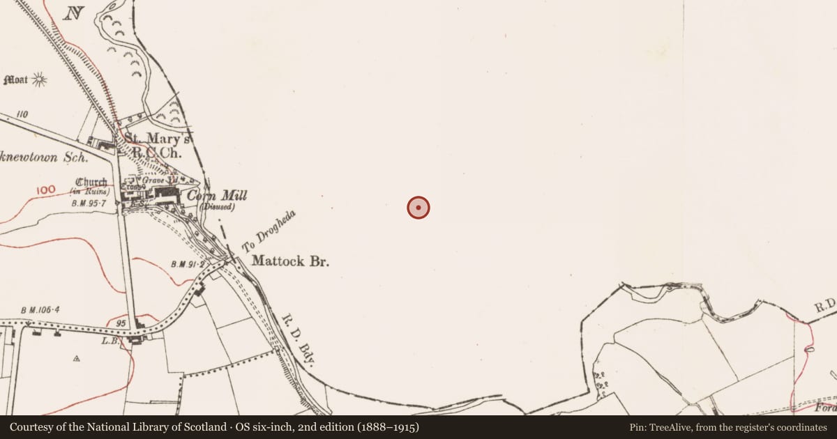 Ordnance Survey six-inch map, 2nd edition (1888–1915) covering the location of Enclosure, Littlegrange, County Louth, with a pin at the register's coordinates