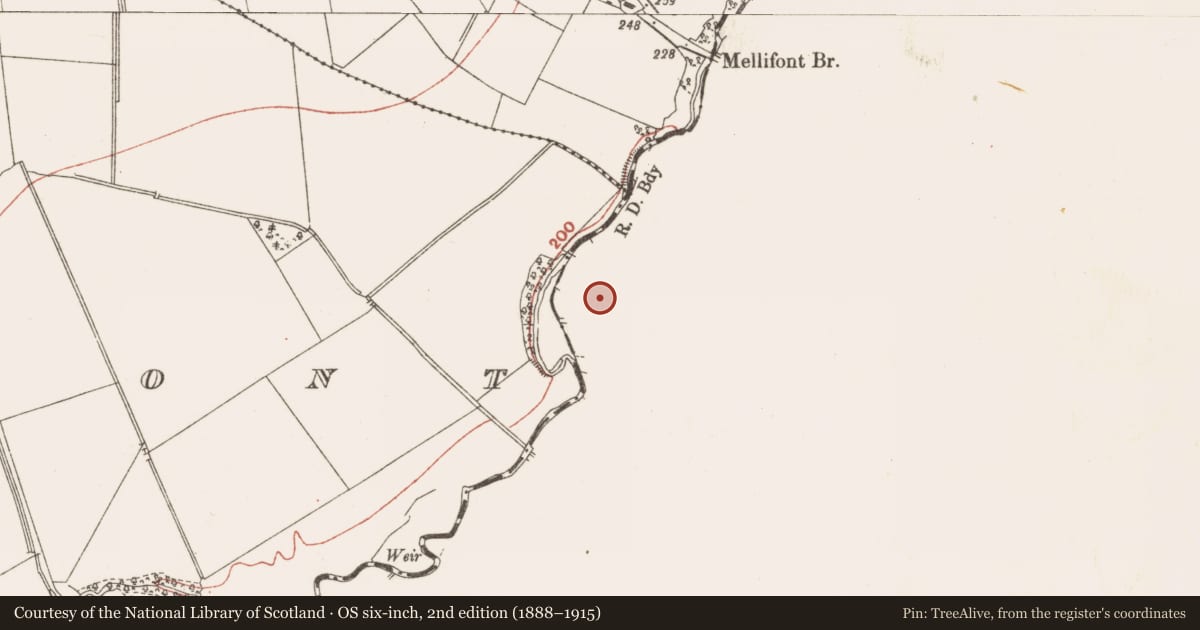 Ordnance Survey six-inch map, 2nd edition (1888–1915) covering the location of Religious house - Cistercian monks, Mellifont, County Louth, with a pin at the register's coordinates