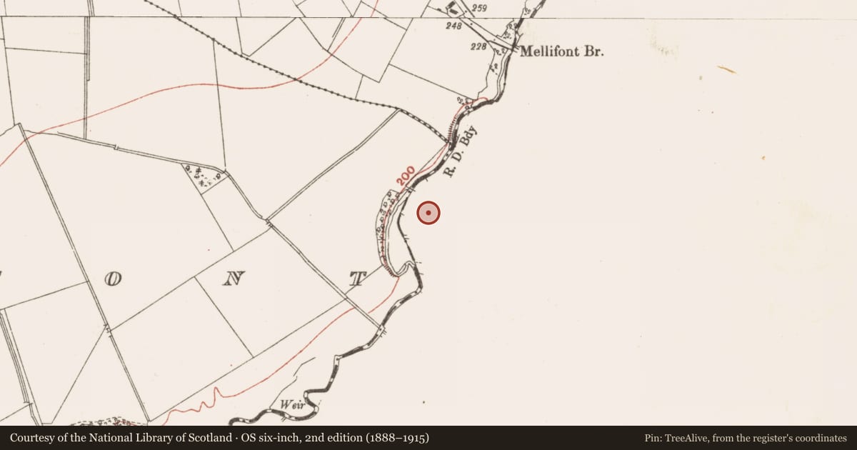 Ordnance Survey six-inch map, 2nd edition (1888–1915) covering the location of Slab-lined burial, Mellifont, County Louth, with a pin at the register's coordinates