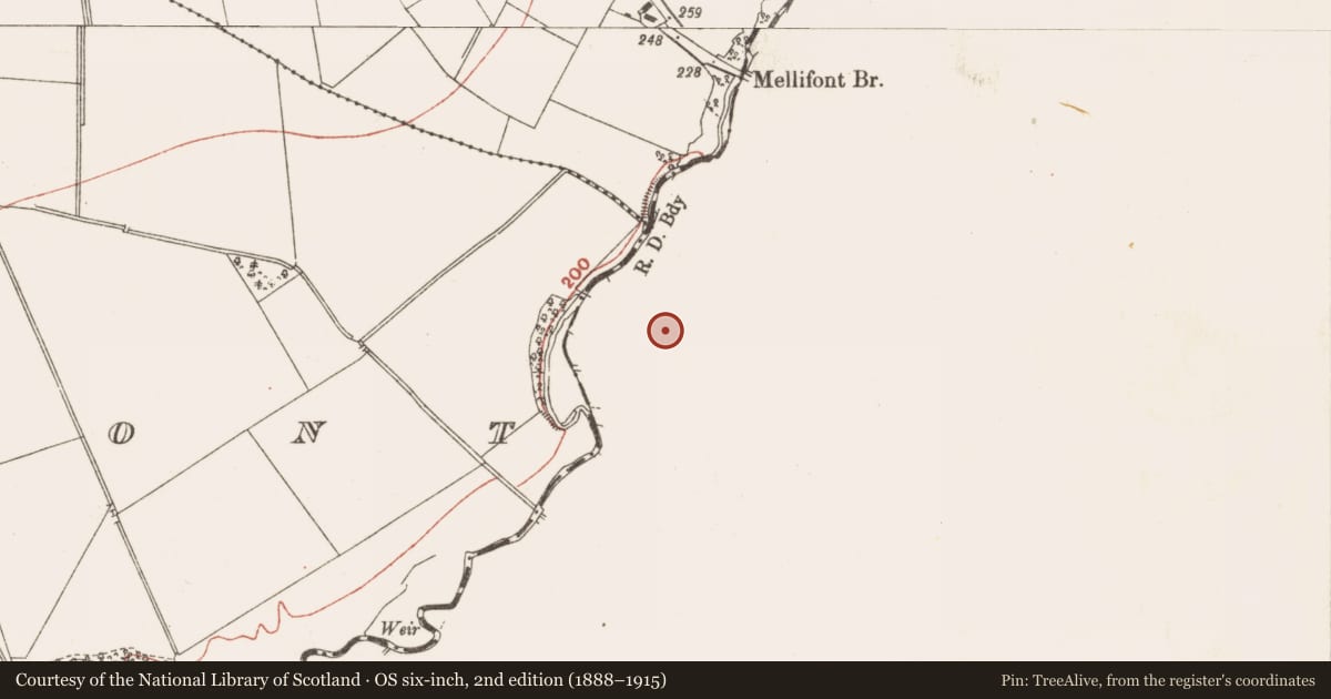 Ordnance Survey six-inch map, 2nd edition (1888–1915) covering the location of Graveyard, Mellifont, County Louth, with a pin at the register's coordinates