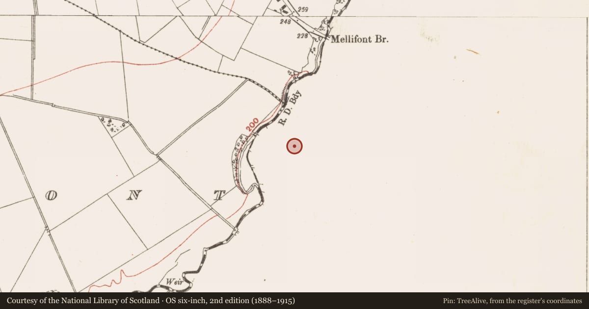 Ordnance Survey six-inch map, 2nd edition (1888–1915) covering the location of Graveslab, Mellifont, County Louth, with a pin at the register's coordinates
