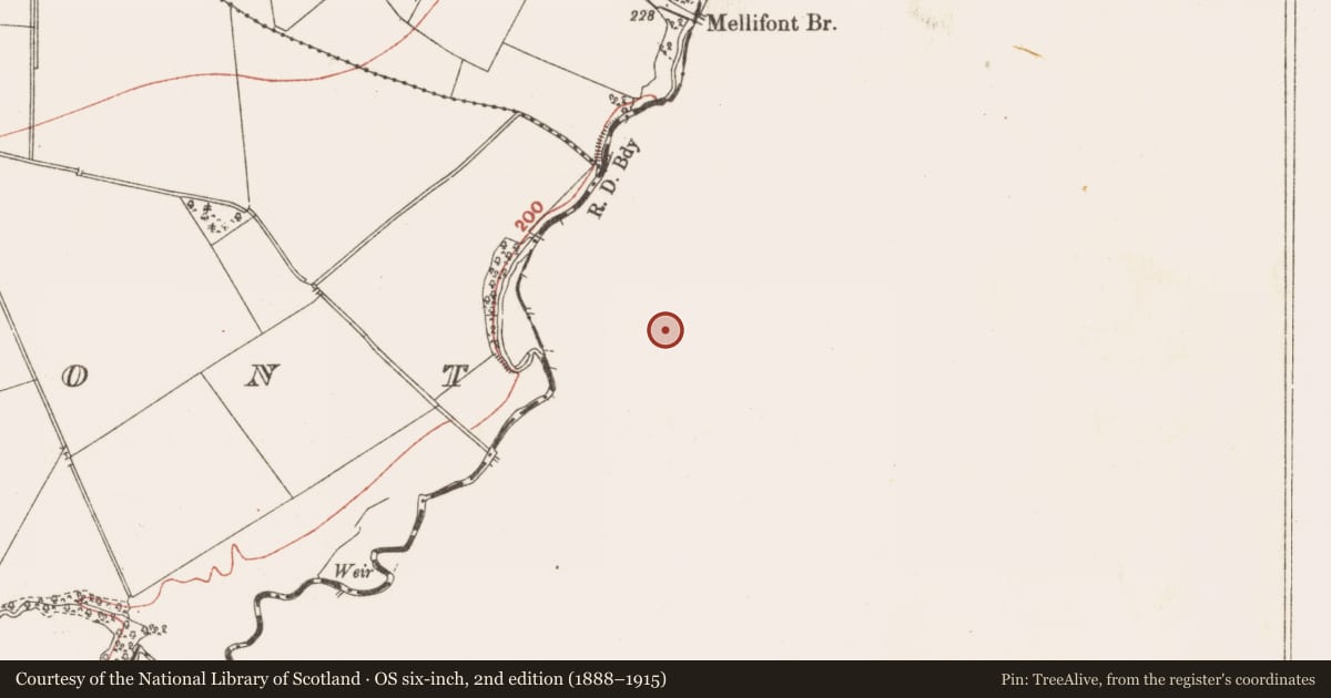 Ordnance Survey six-inch map, 2nd edition (1888–1915) covering the location of Barrow - unclassified, Mellifont, County Louth, with a pin at the register's coordinates