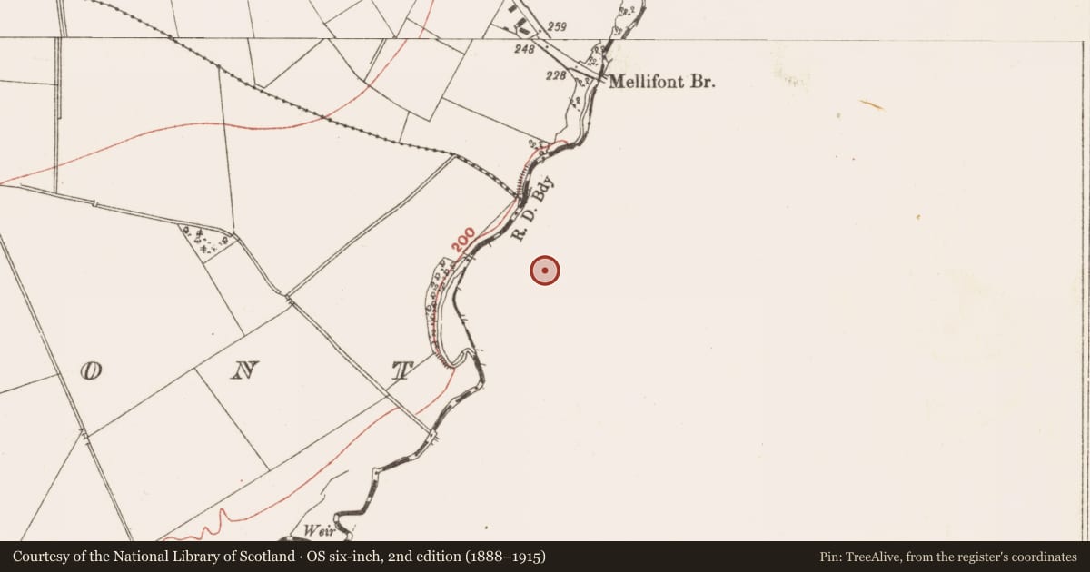 Ordnance Survey six-inch map, 2nd edition (1888–1915) covering the location of Cross-slab, Mellifont, County Louth, with a pin at the register's coordinates