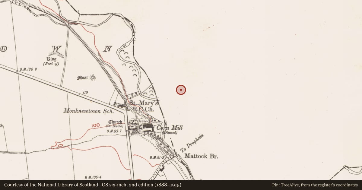Ordnance Survey six-inch map, 2nd edition (1888–1915) covering the location of Souterrain, Sheepgrange, County Louth, with a pin at the register's coordinates