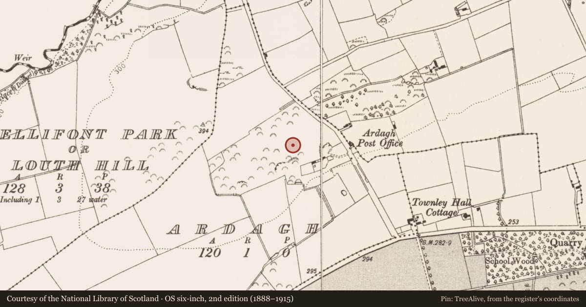 Ordnance Survey six-inch map, 2nd edition (1888–1915) covering the location of Ring-ditch, Ardagh, County Louth, with a pin at the register's coordinates