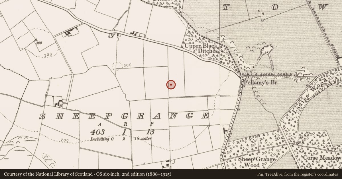 Ordnance Survey six-inch map, 2nd edition (1888–1915) covering the location of Field system, Sheepgrange, County Louth, with a pin at the register's coordinates