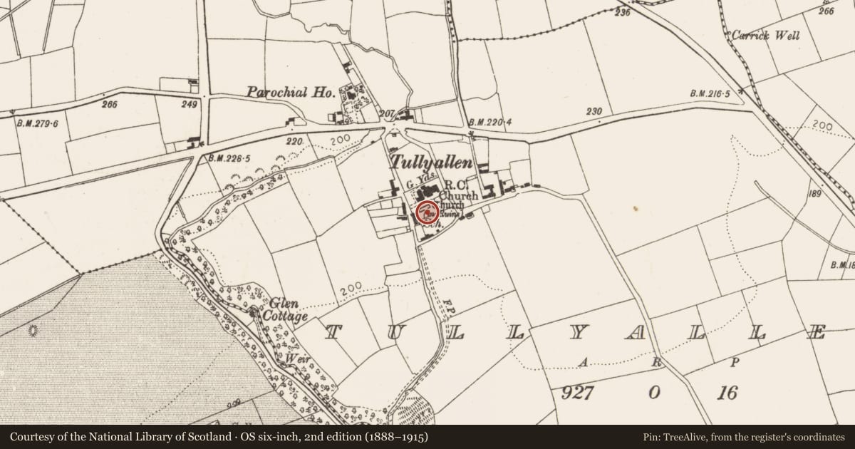 Ordnance Survey six-inch map, 2nd edition (1888–1915) covering the location of Church, Tullyallen, County Louth, with a pin at the register's coordinates