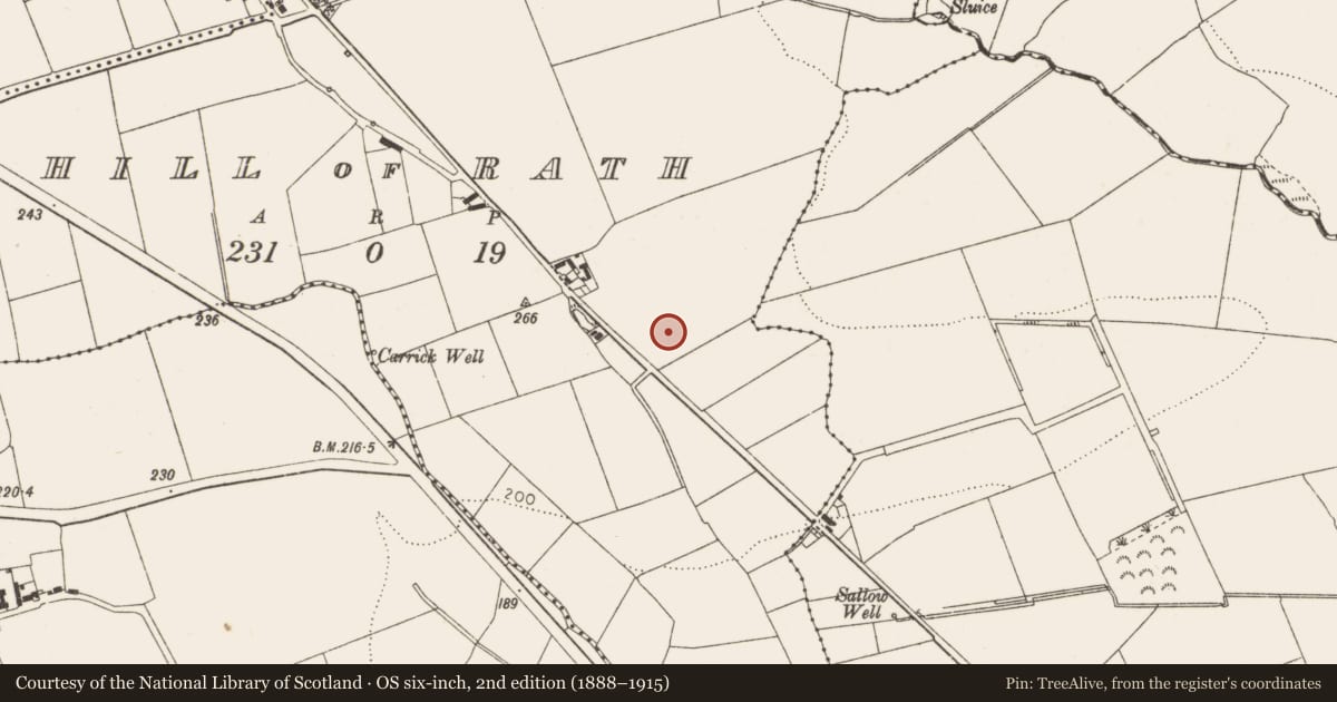 Ordnance Survey six-inch map, 2nd edition (1888–1915) covering the location of Urn burial, Hill of Rath, County Louth, with a pin at the register's coordinates
