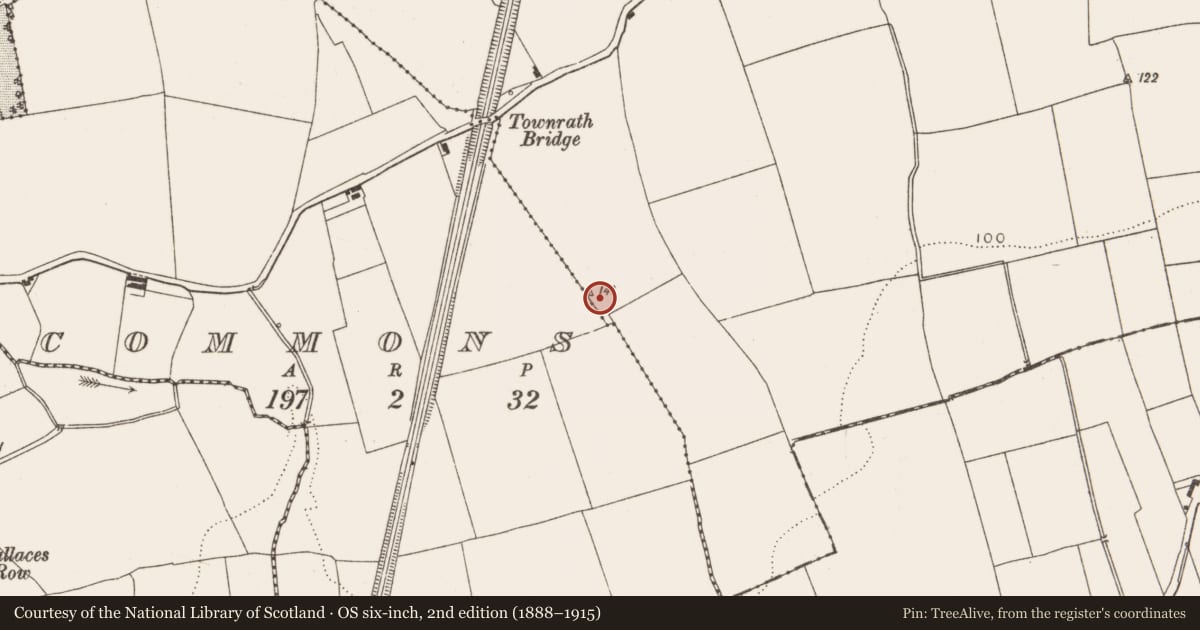 Ordnance Survey six-inch map, 2nd edition (1888–1915) covering the location of Earthwork, Townrath, County Louth, with a pin at the register's coordinates