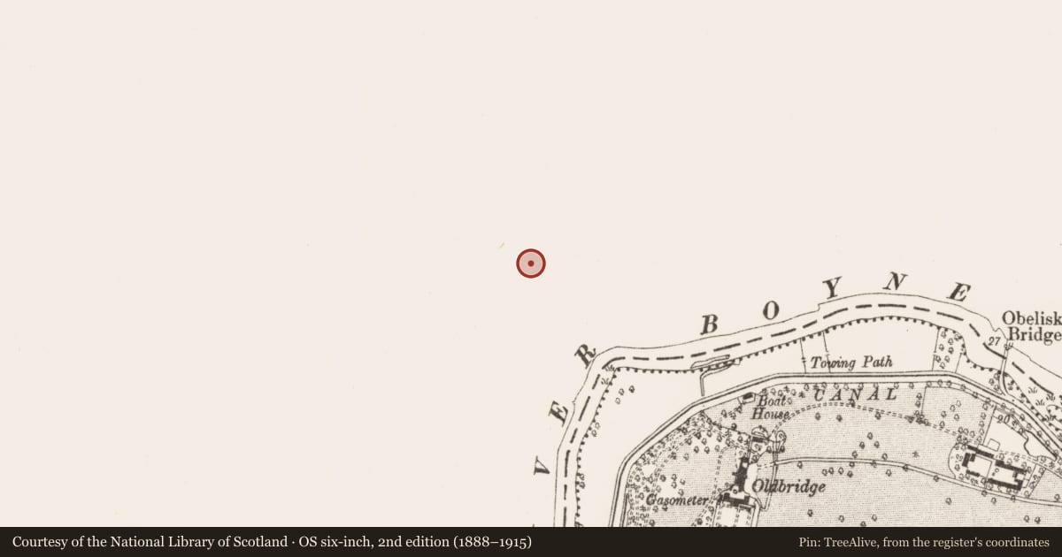 Ordnance Survey six-inch map, 2nd edition (1888–1915) covering the location of Burial, Townleyhall, County Louth, with a pin at the register's coordinates