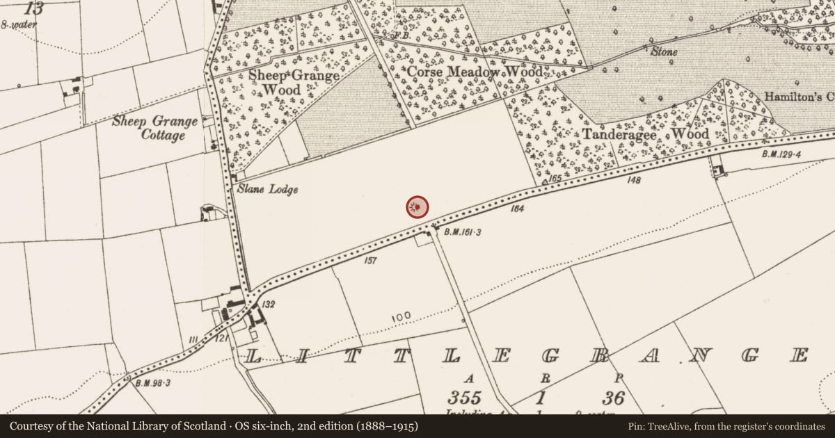 Ordnance Survey six-inch map, 2nd edition (1888–1915) covering the location of Megalithic tomb - passage tomb, Townleyhall, County Louth, with a pin at the register's coordinates