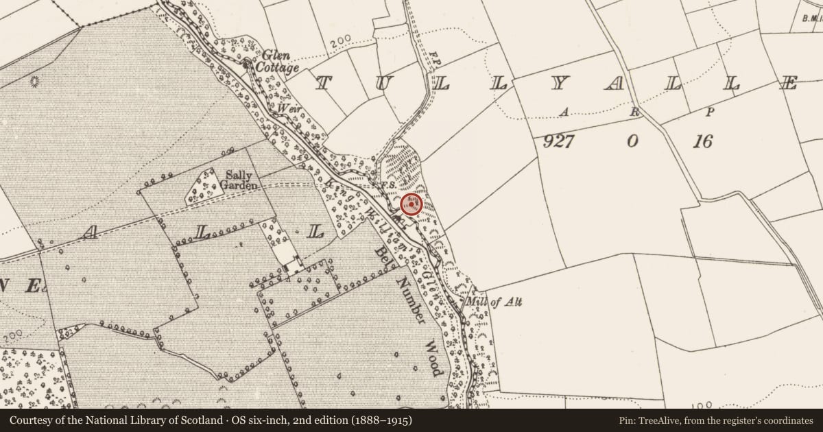 Ordnance Survey six-inch map, 2nd edition (1888–1915) covering the location of Military camp, Tullyallen, County Louth, with a pin at the register's coordinates