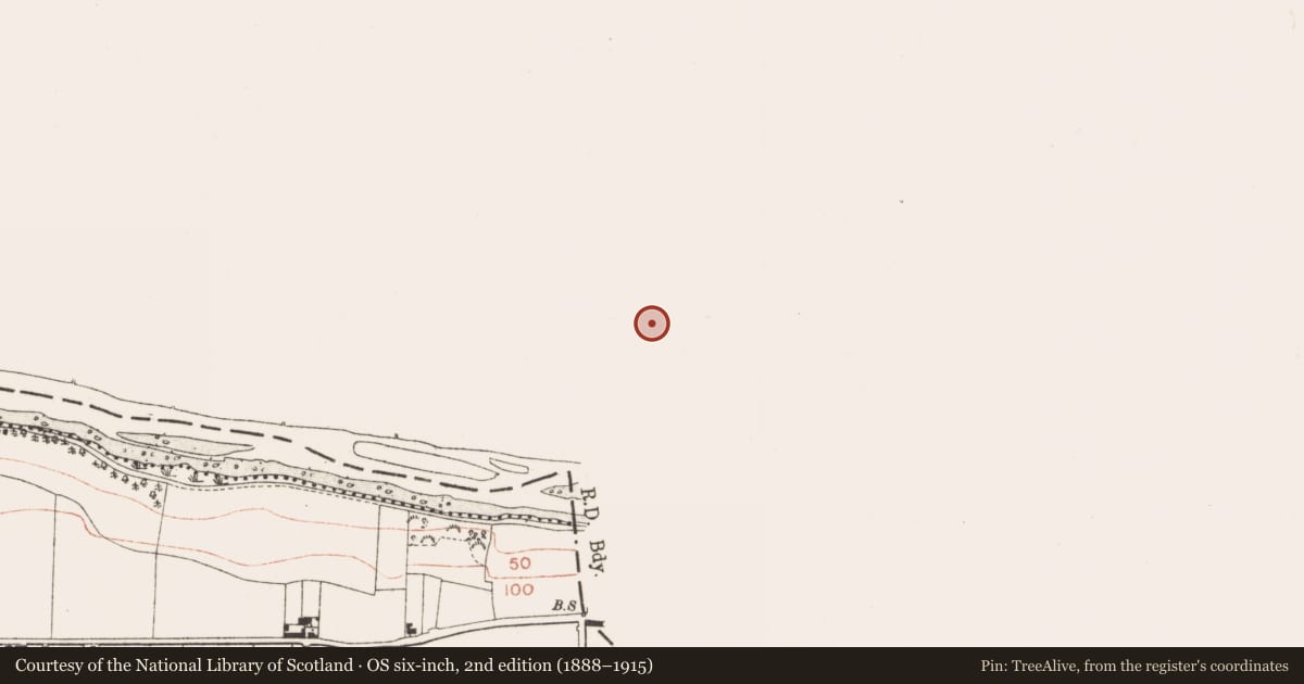 Ordnance Survey six-inch map, 2nd edition (1888–1915) covering the location of Burial ground, Mell, County Louth, with a pin at the register's coordinates