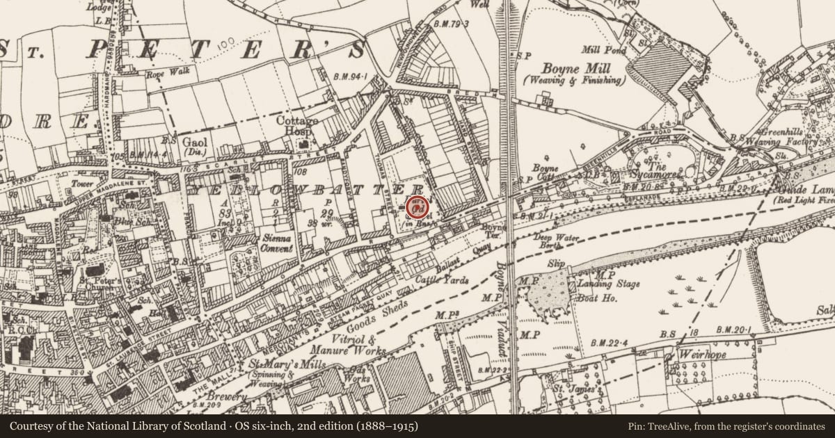 Ordnance Survey six-inch map, 2nd edition (1888–1915) covering the location of Graveslab, Yellowbatter, County Louth, with a pin at the register's coordinates