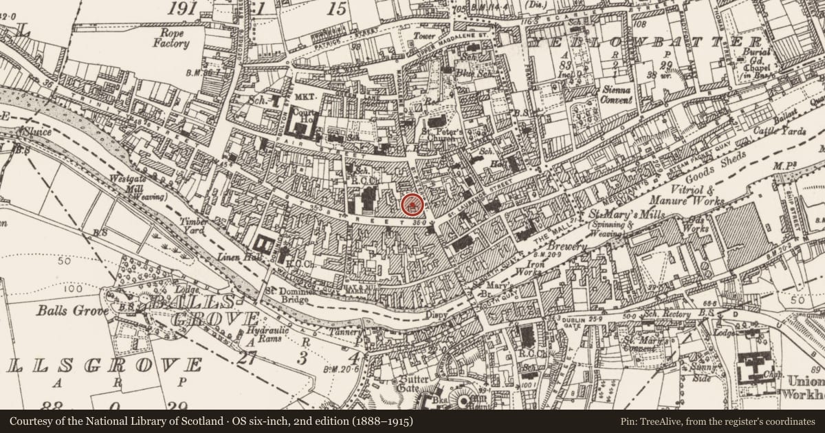 Ordnance Survey six-inch map, 2nd edition (1888–1915) covering the location of Historic town, County Louth, with a pin at the register's coordinates