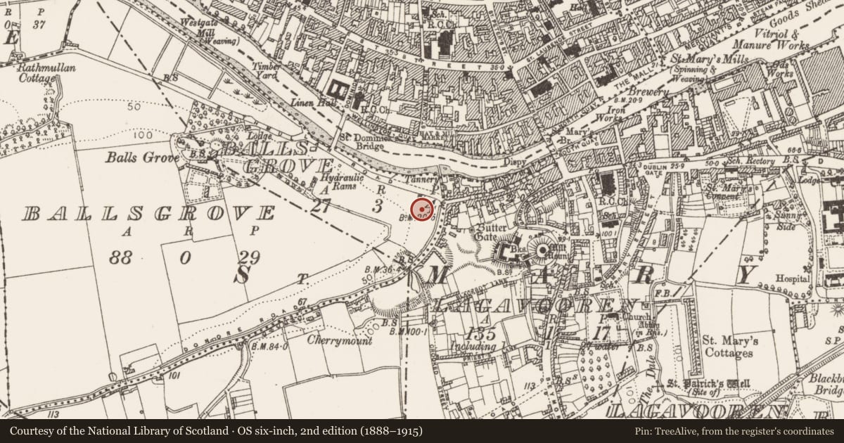 Ordnance Survey six-inch map, 2nd edition (1888–1915) covering the location of Religious house - Fratres Cruciferi, Lagavooren, County Louth, with a pin at the register's coordinates