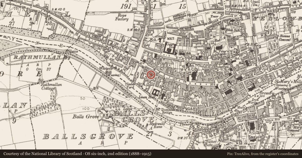 Ordnance Survey six-inch map, 2nd edition (1888–1915) covering the location of Religious house - Augustinian friars, Moneymore, County Louth, with a pin at the register's coordinates