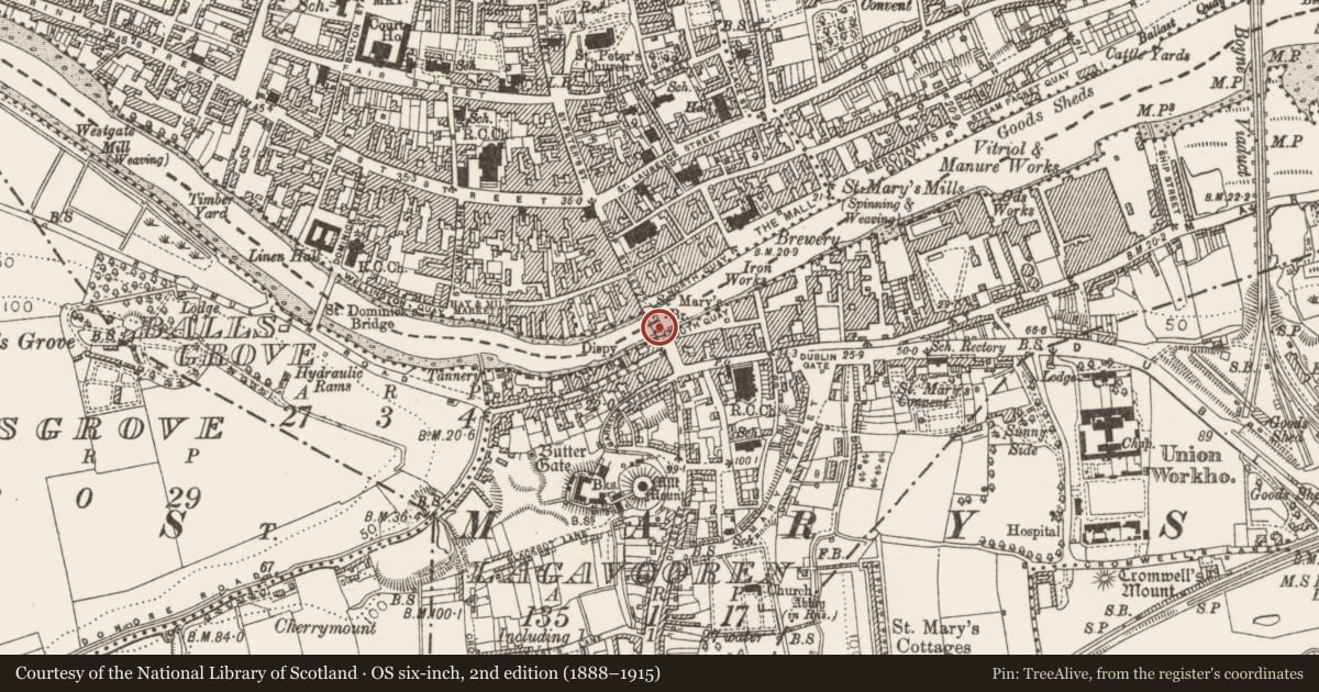 Ordnance Survey six-inch map, 2nd edition (1888–1915) covering the location of Riverine revetment, Lagavooren, Moneymore, County Louth, with a pin at the register's coordinates