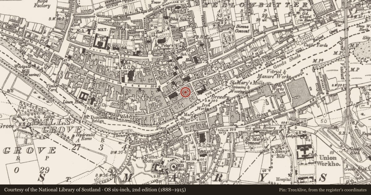 Ordnance Survey six-inch map, 2nd edition (1888–1915) covering the location of Excavation - miscellaneous, Moneymore, County Louth, with a pin at the register's coordinates