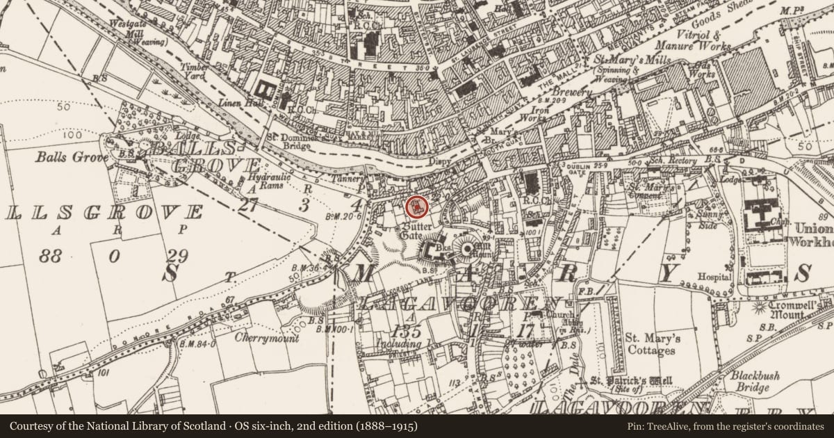 Ordnance Survey six-inch map, 2nd edition (1888–1915) covering the location of Excavation - miscellaneous, Lagavooren, County Louth, with a pin at the register's coordinates