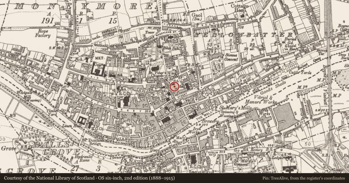 Ordnance Survey six-inch map, 2nd edition (1888–1915) covering the location of Excavation - miscellaneous, Moneymore, County Louth, with a pin at the register's coordinates