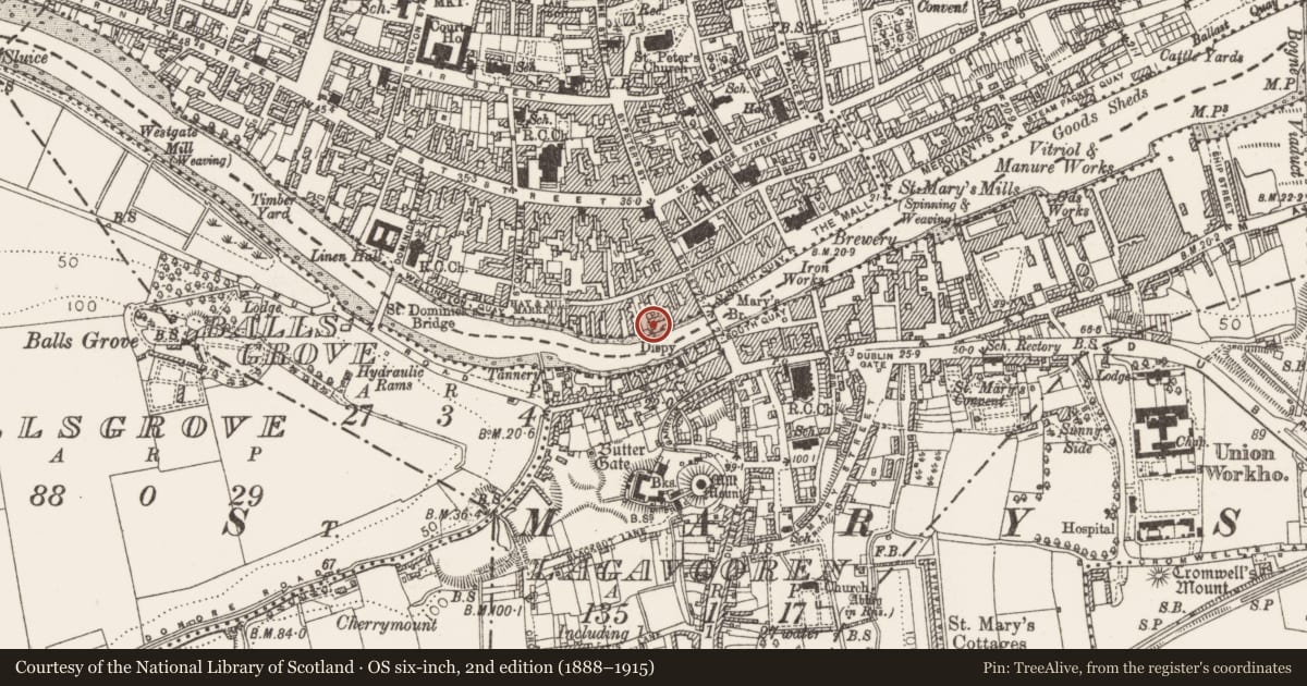 Ordnance Survey six-inch map, 2nd edition (1888–1915) covering the location of Riverine revetment, Moneymore, County Louth, with a pin at the register's coordinates