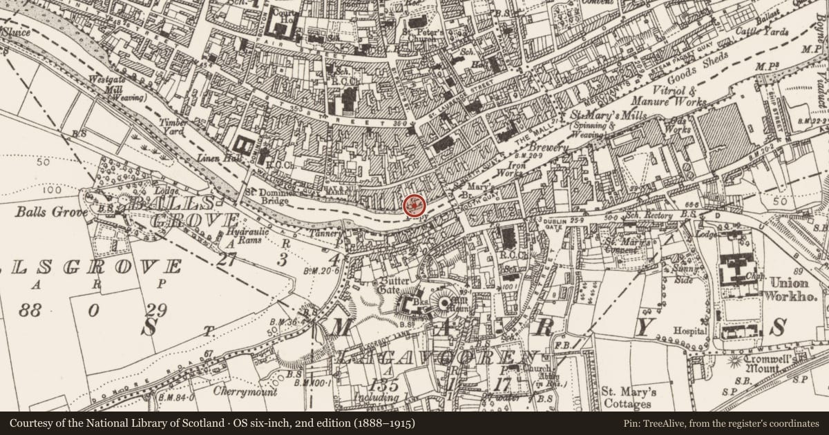 Ordnance Survey six-inch map, 2nd edition (1888–1915) covering the location of Excavation - miscellaneous, Moneymore, County Louth, with a pin at the register's coordinates