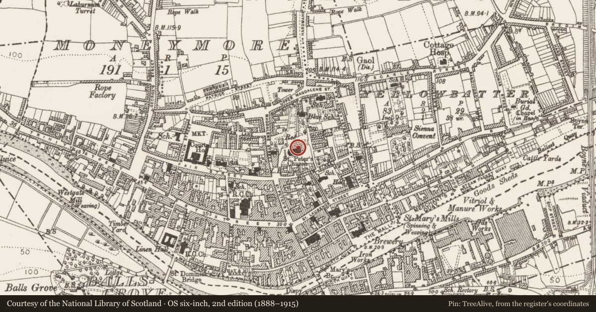 Ordnance Survey six-inch map, 2nd edition (1888–1915) covering the location of Graveslab, Moneymore, County Louth, with a pin at the register's coordinates