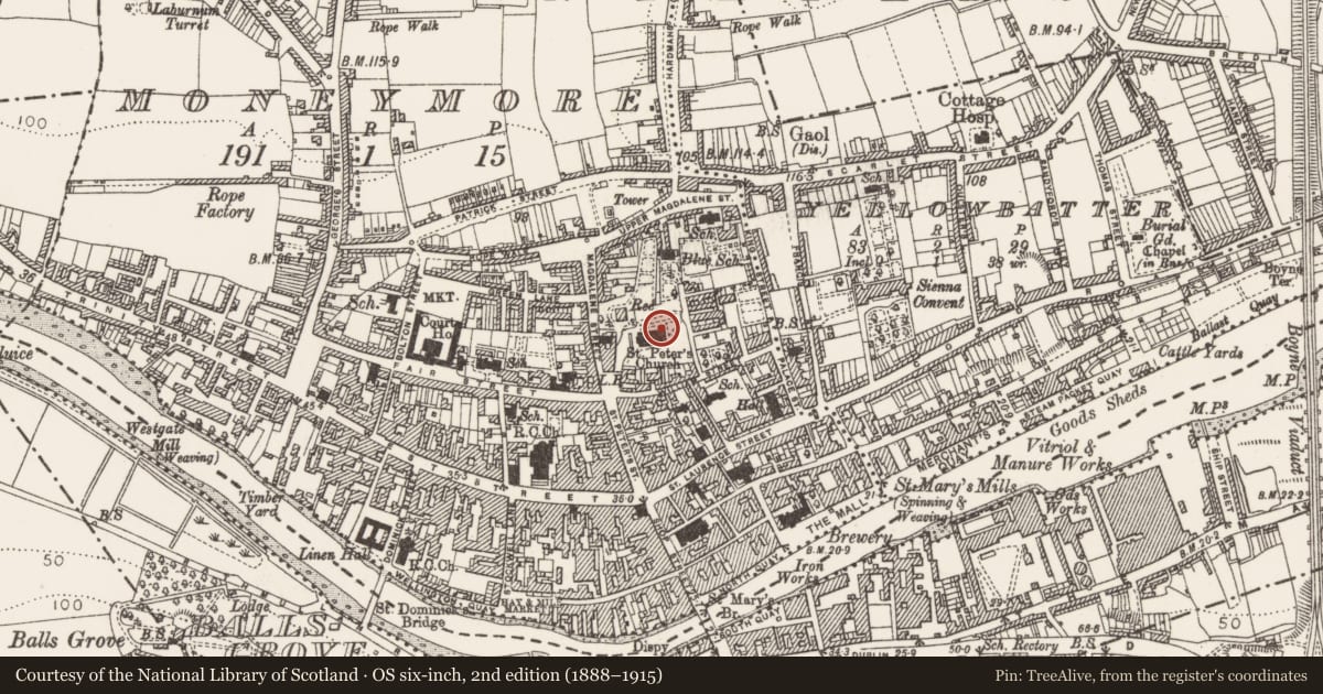 Ordnance Survey six-inch map, 2nd edition (1888–1915) covering the location of Graveslab, Moneymore, County Louth, with a pin at the register's coordinates