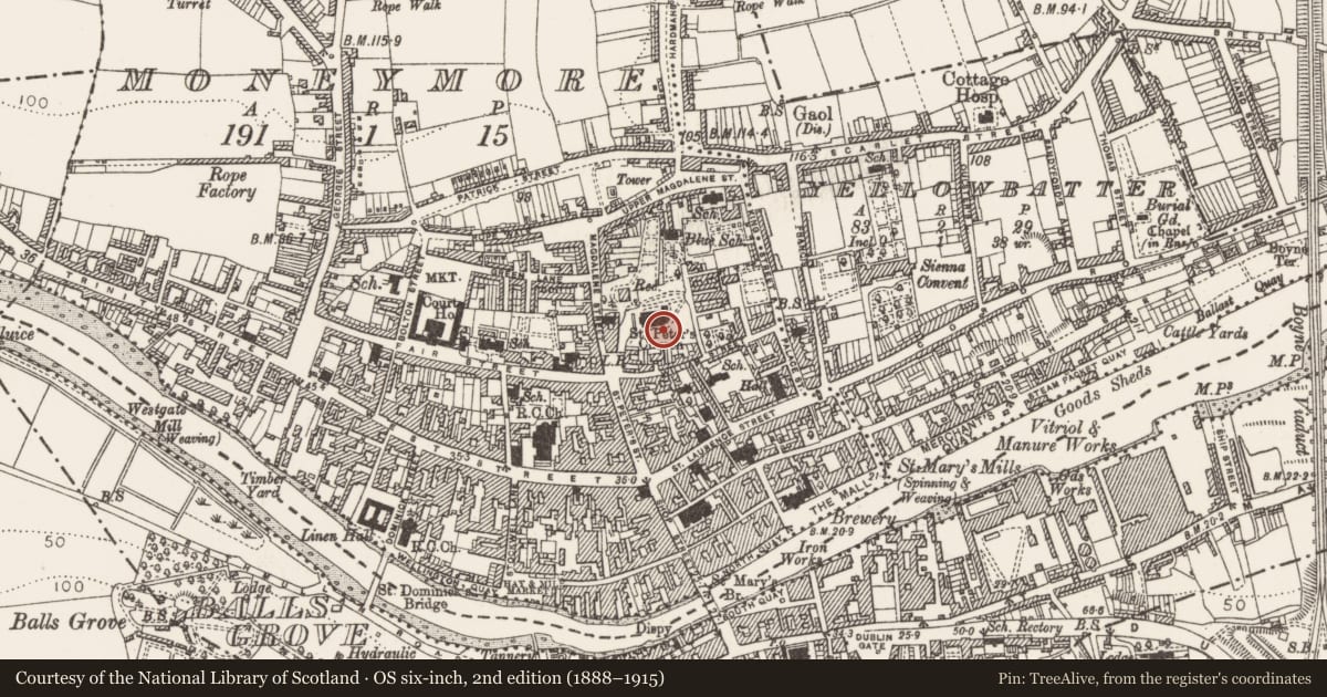 Ordnance Survey six-inch map, 2nd edition (1888–1915) covering the location of Graveslab, Moneymore, County Louth, with a pin at the register's coordinates