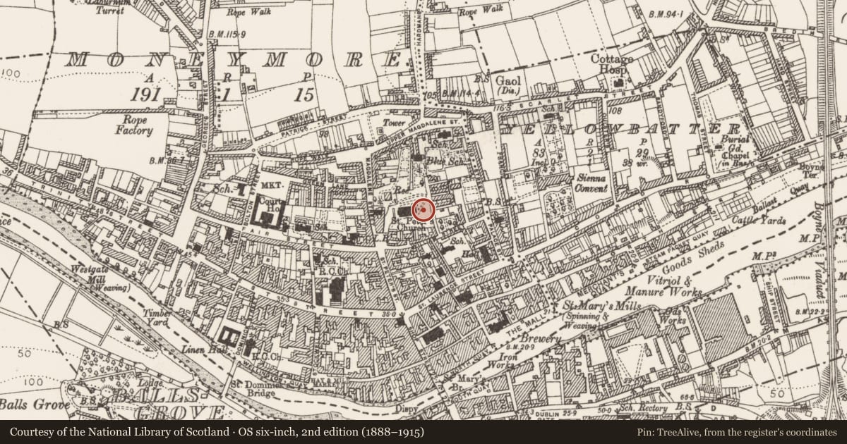 Ordnance Survey six-inch map, 2nd edition (1888–1915) covering the location of Tomb - chest tomb, Moneymore, County Louth, with a pin at the register's coordinates