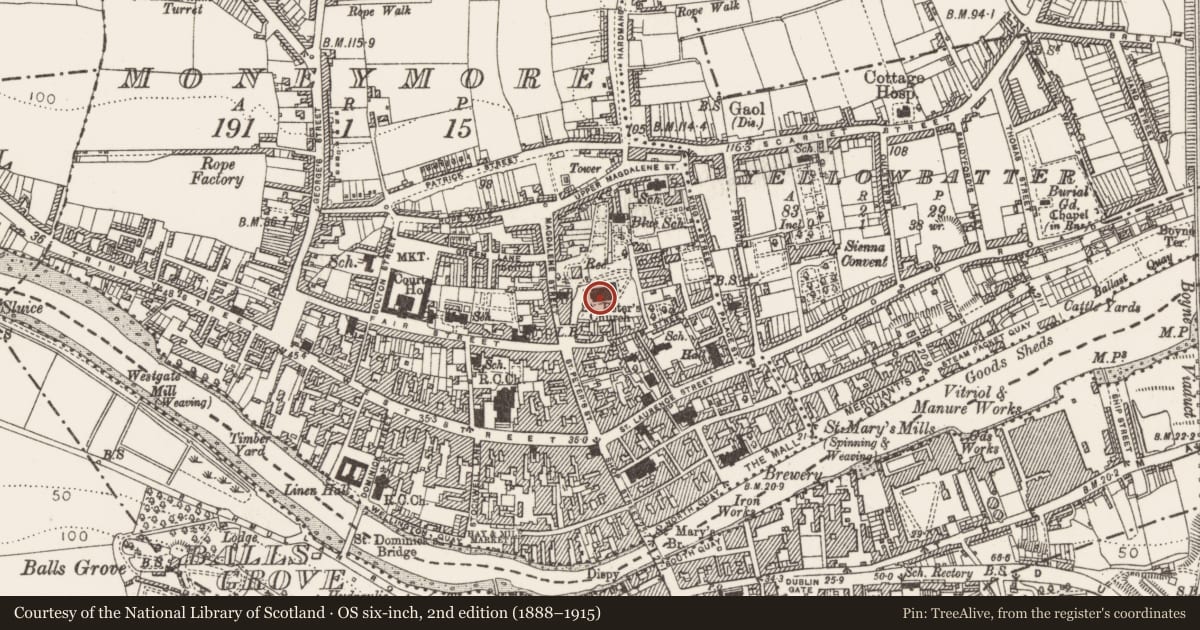 Ordnance Survey six-inch map, 2nd edition (1888–1915) covering the location of Cross-slab (present location), Moneymore, County Louth, with a pin at the register's coordinates