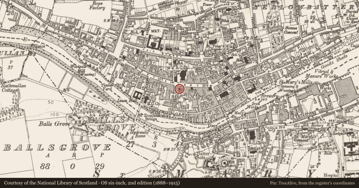 Ordnance Survey six-inch map, 2nd edition (1888–1915) covering the location of Excavation - miscellaneous, Moneymore, County Louth, with a pin at the register's coordinates