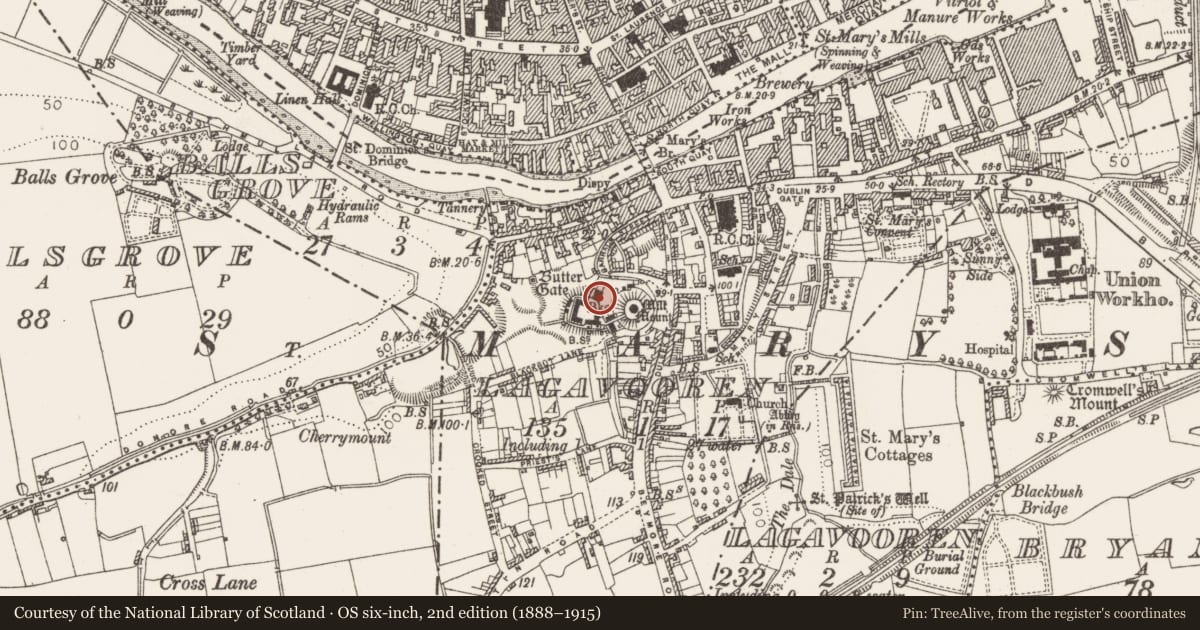 Ordnance Survey six-inch map, 2nd edition (1888–1915) covering the location of Sheela-na-gig (present location), Lagavooren, County Louth, with a pin at the register's coordinates