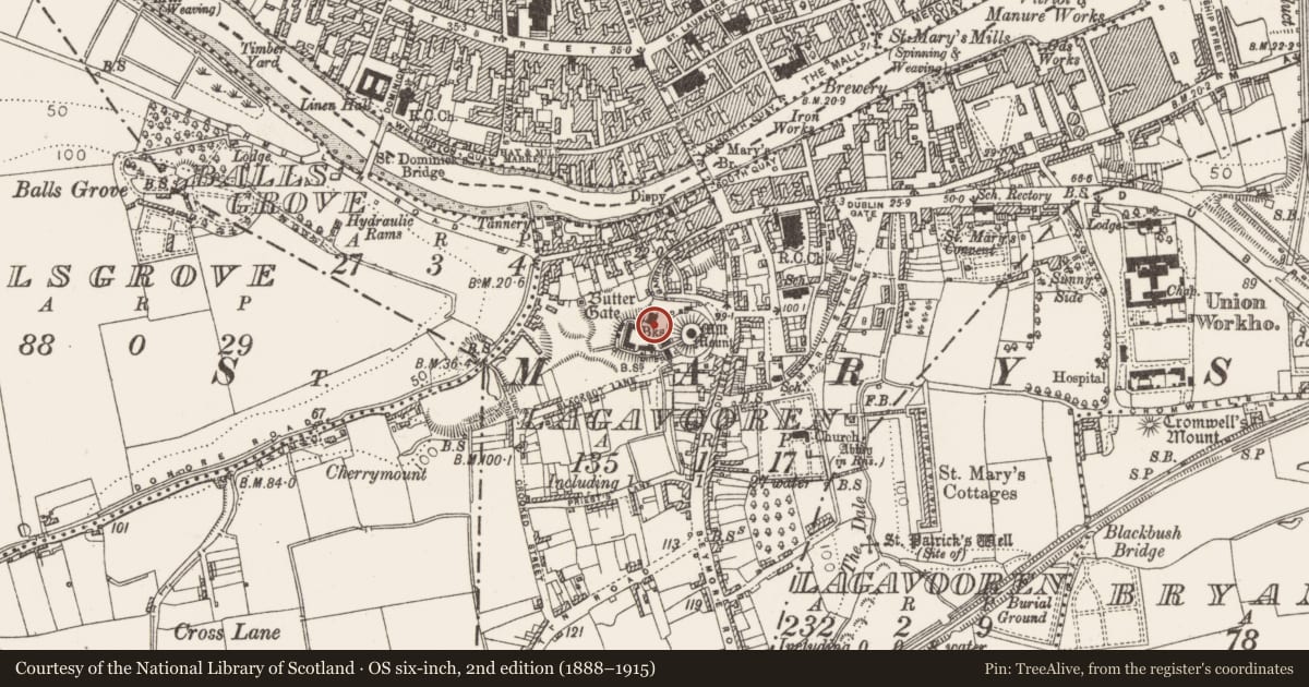 Ordnance Survey six-inch map, 2nd edition (1888–1915) covering the location of Stoup (present location), Lagavooren, County Louth, with a pin at the register's coordinates